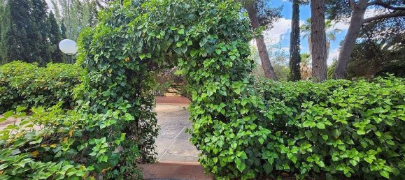 Дом с 5 спальнями в Сакс, Испания № 25805 16