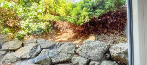 4 غرف نوم فيلا في Brunn am Gebirge, Austria رقم 55198 24