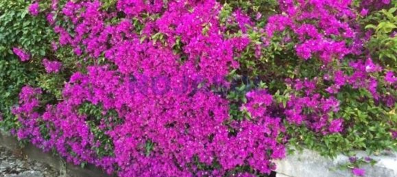 4 Schlafzimmer Haus in Cantabria, Spain, Nr. 152967 19