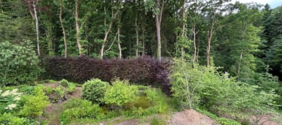 Terreno de 7 divisões em Rhineland-Palatinate, Germany N.º 252755 18