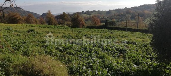 5 bedrooms House in Piana di Monte Verna, Italy No. 141199 46