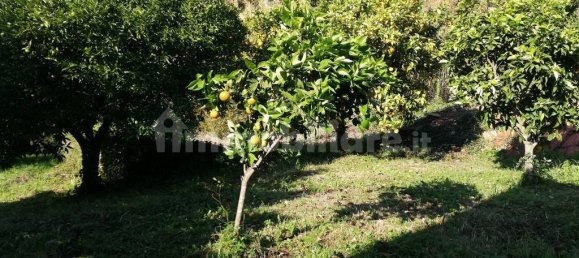 5 bedrooms House in Piana di Monte Verna, Italy No. 141199 41