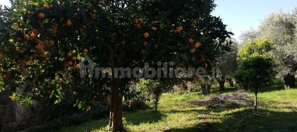 5 bedrooms House in Piana di Monte Verna, Italy No. 141199 42