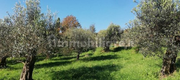 5 bedrooms House in Piana di Monte Verna, Italy No. 141199 49