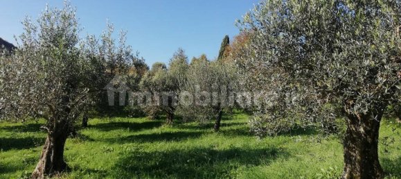 5 bedrooms House in Piana di Monte Verna, Italy No. 141199 50