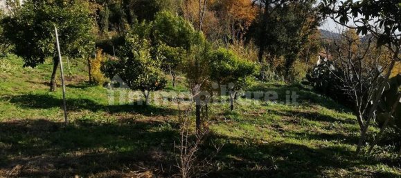 5 bedrooms House in Piana di Monte Verna, Italy No. 141199 43