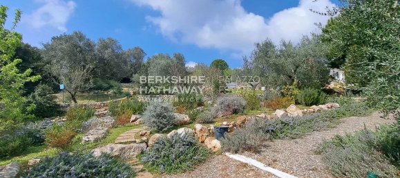 8 rooms House in Carovigno, Italy No. 144196 28