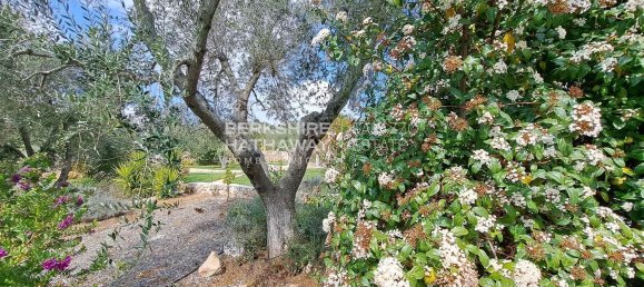 8 rooms House in Carovigno, Italy No. 144196 37