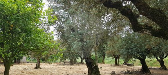 1 Schlafzimmer Haus in Ferreira do Zezere, Portugal, Nr. 21394 10