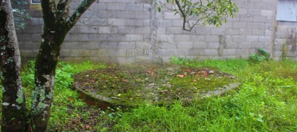 1 Schlafzimmer Haus in Ferreira do Zezere, Portugal, Nr. 21394 13