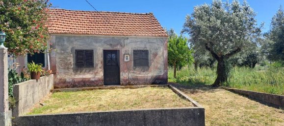 1 Schlafzimmer Haus in Ferreira do Zezere, Portugal, Nr. 21394 21