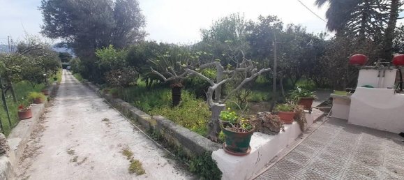 5 rooms Villa in Carini, Italy No. 156141 9