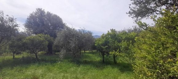 5 rooms Villa in Carini, Italy No. 156141 11