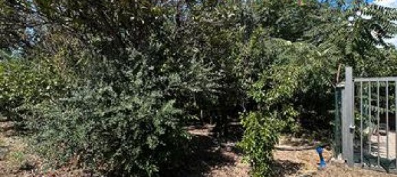 1900m² Land in Palermo, Italy No. 309655 4