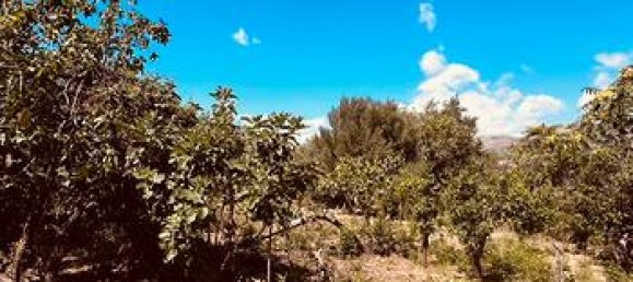 1900m² Land in Palermo, Italy No. 309655 5