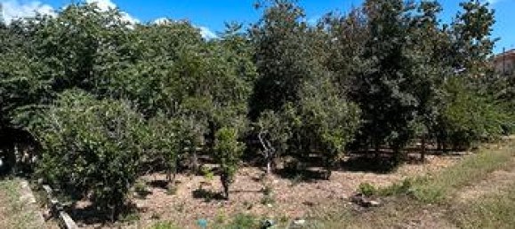 1900m² Land in Palermo, Italy No. 309655 3