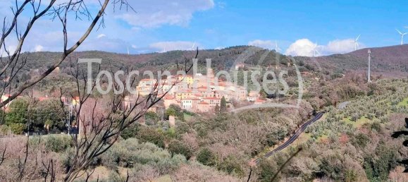 Вилла с 10 спальнями в Санта Луче, Италия № 85355 7