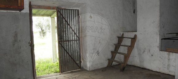 1 bedroom House in Torres Novas, Portugal No. 21678 31