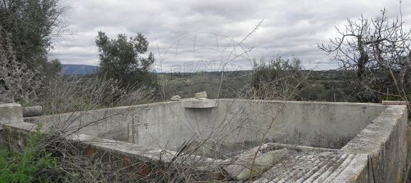 1 bedroom House in Torres Novas, Portugal No. 21678 12