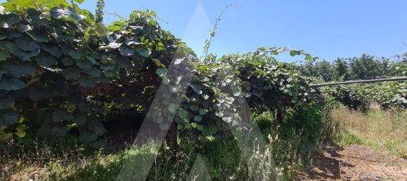 Grundstück in Oliveira do Bairro, Portugal, Nr. 87884 2