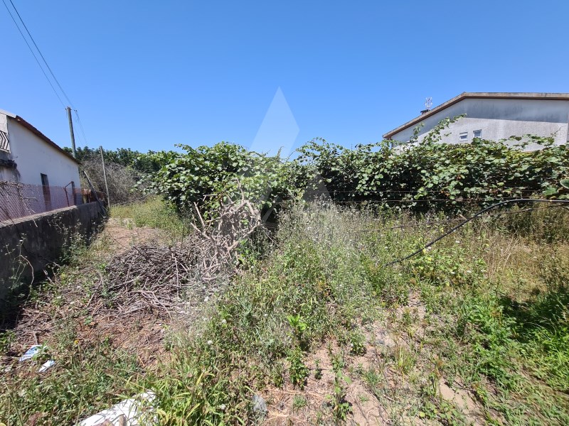 Grundstück in Oliveira do Bairro, Portugal, Nr. 87884