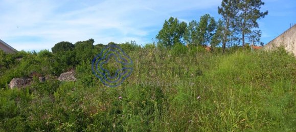 Terrain à Tomar, Portugal 435m² No. 79588 9