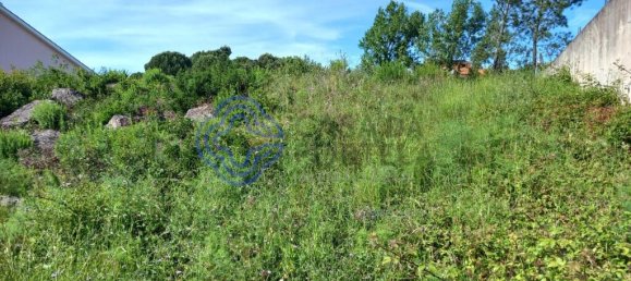 Terrain à Tomar, Portugal 435m² No. 79588 6