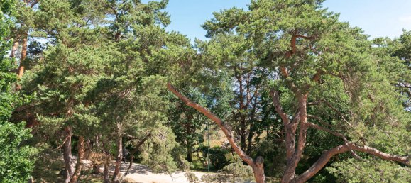 2 Schlafzimmer Hotel in Vorpommern-Greifswald, Germany, Nr. 132722 20