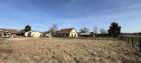 Terrain à Daubensand, France 1430m² No. 266697 8