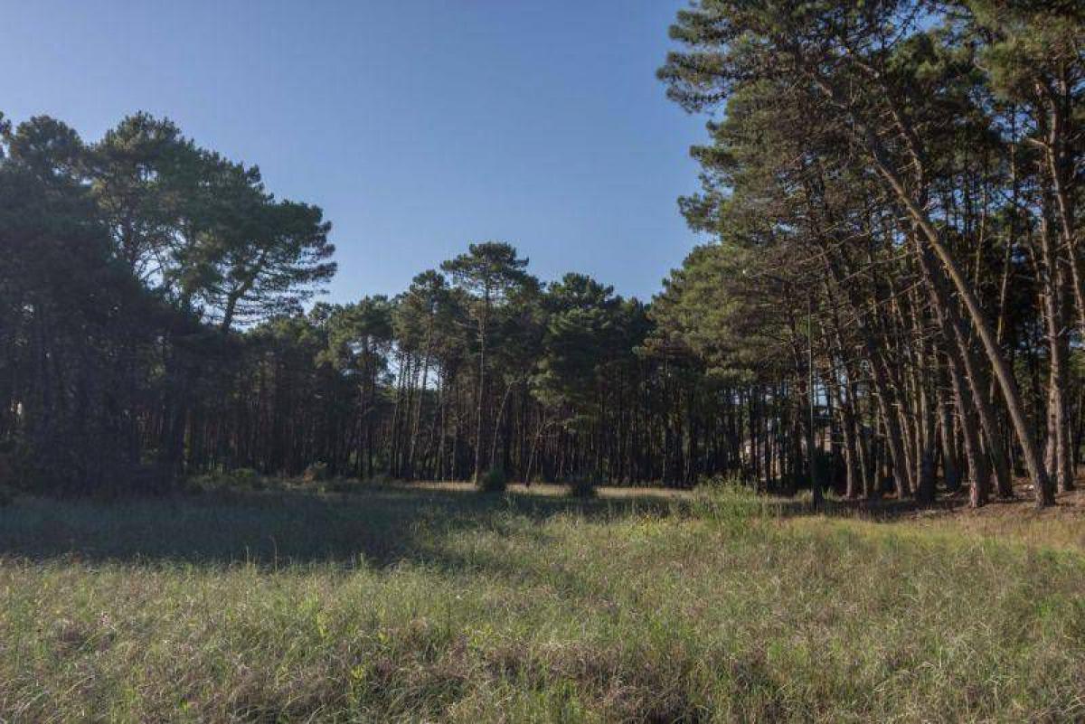  Land in Mar del Plata, Argentina No. 120178