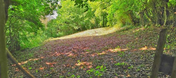 Grundstück in Rems-Murr-Kreis, Germany, Nr. 307663 3