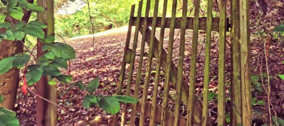 Grundstück in Rems-Murr-Kreis, Germany, Nr. 307663 2