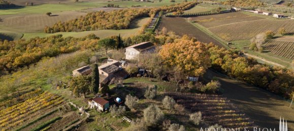 6 Schlafzimmer Haus in Chianciano Terme, Italy, Nr. 102246 5