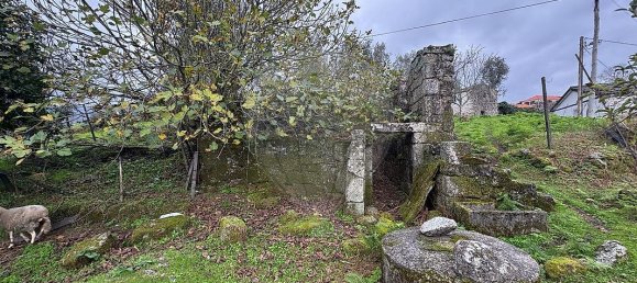 2 bedrooms House in Baiao, Portugal No. 168845 9