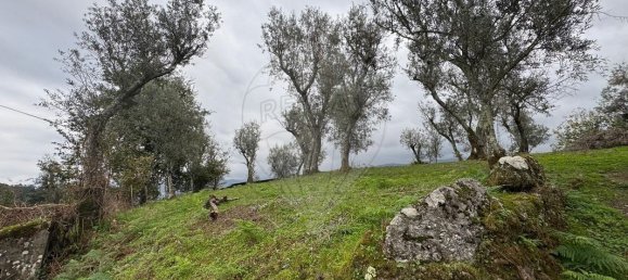 2 bedrooms House in Baiao, Portugal No. 168845 14