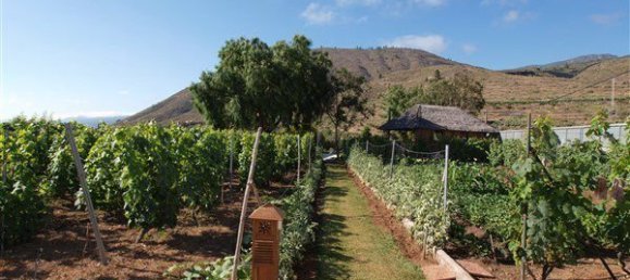 4 chambres Maison à Guia de Isora, Spain No. 130557 12