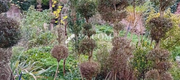 3 Schlafzimmer Villa in Boersch, France, Nr. 222195 12