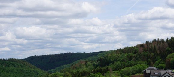  قطعة أرض في Mayen-Koblenz, Germany رقم 219181 2