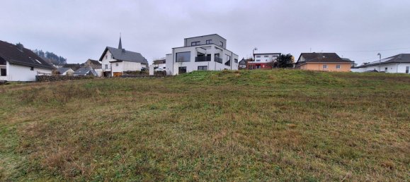  قطعة أرض في Mayen-Koblenz, Germany رقم 219181 8