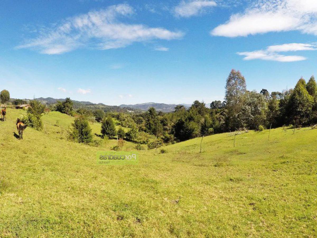 Terreno em Antioquia, Colombia N.º 235