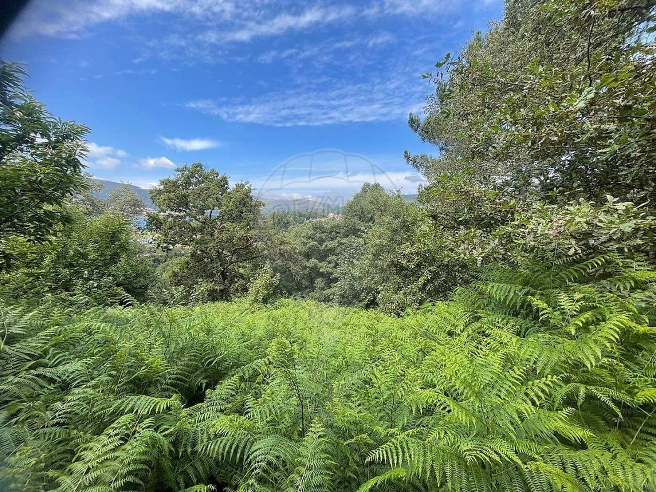  قطعة أرض في Montalegre, Portugal رقم 285605