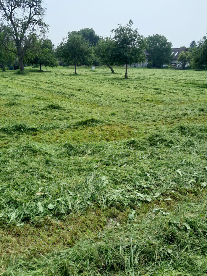 Земельный участок в Фельдкирх, Австрия № 213822