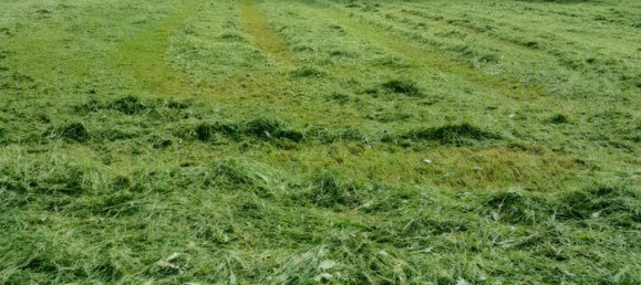 Земельный участок в Фельдкирх, Австрия № 213822 2