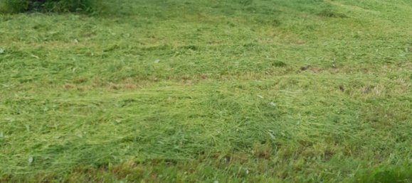 Земельный участок в Фельдкирх, Австрия № 213822 4