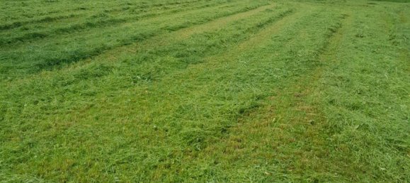 Земельный участок в Фельдкирх, Австрия № 213822 3