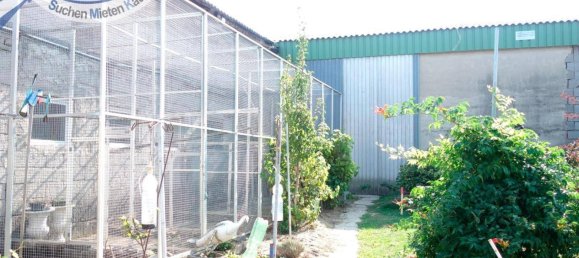 4 bedrooms House in Zellerndorf, Austria No. 217685 19