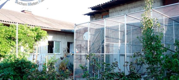 4 bedrooms House in Zellerndorf, Austria No. 217685 17