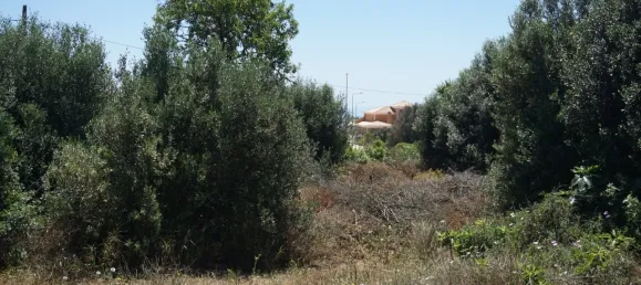 Terreno en Luz, Portugal No. 59192 17