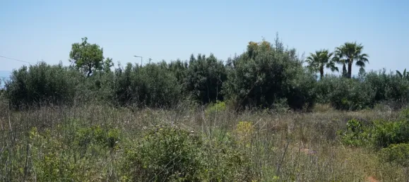 Terreno en Luz, Portugal No. 59192 16