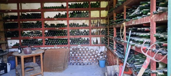 6 bedrooms House in Cantanhede, Portugal No. 24721 25